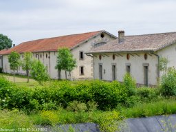 IMGP0366